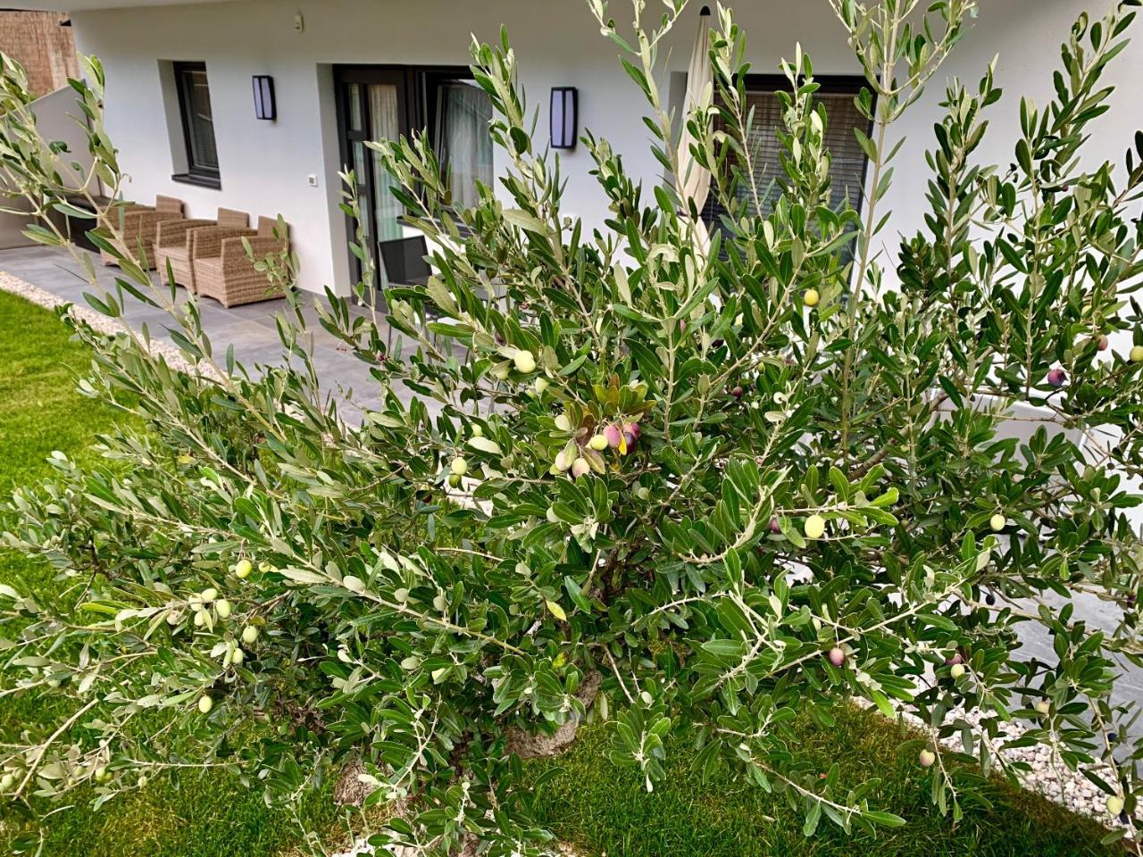 Apartment Zielspitz Parcines Εξωτερικό φωτογραφία